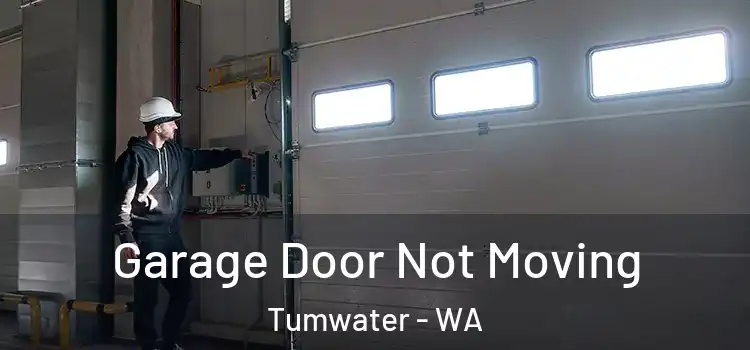  Garage Door Not Moving Tumwater - WA