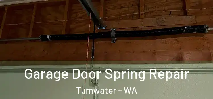  Garage Door Spring Repair Tumwater - WA